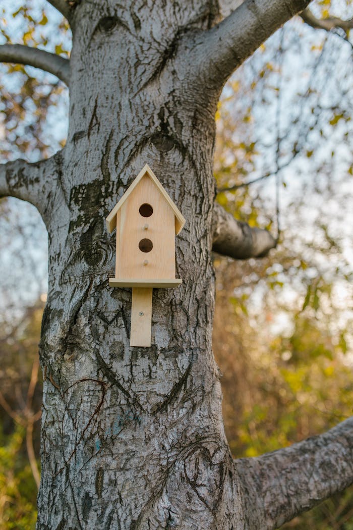 who-we-are A wooden birdhouse mounted on a tree trunk, surrounded by serene natural settings.